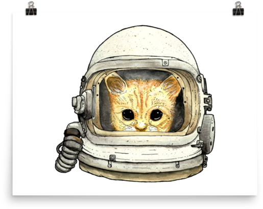 Space Kitteh No - Cat (600x600), Png Download