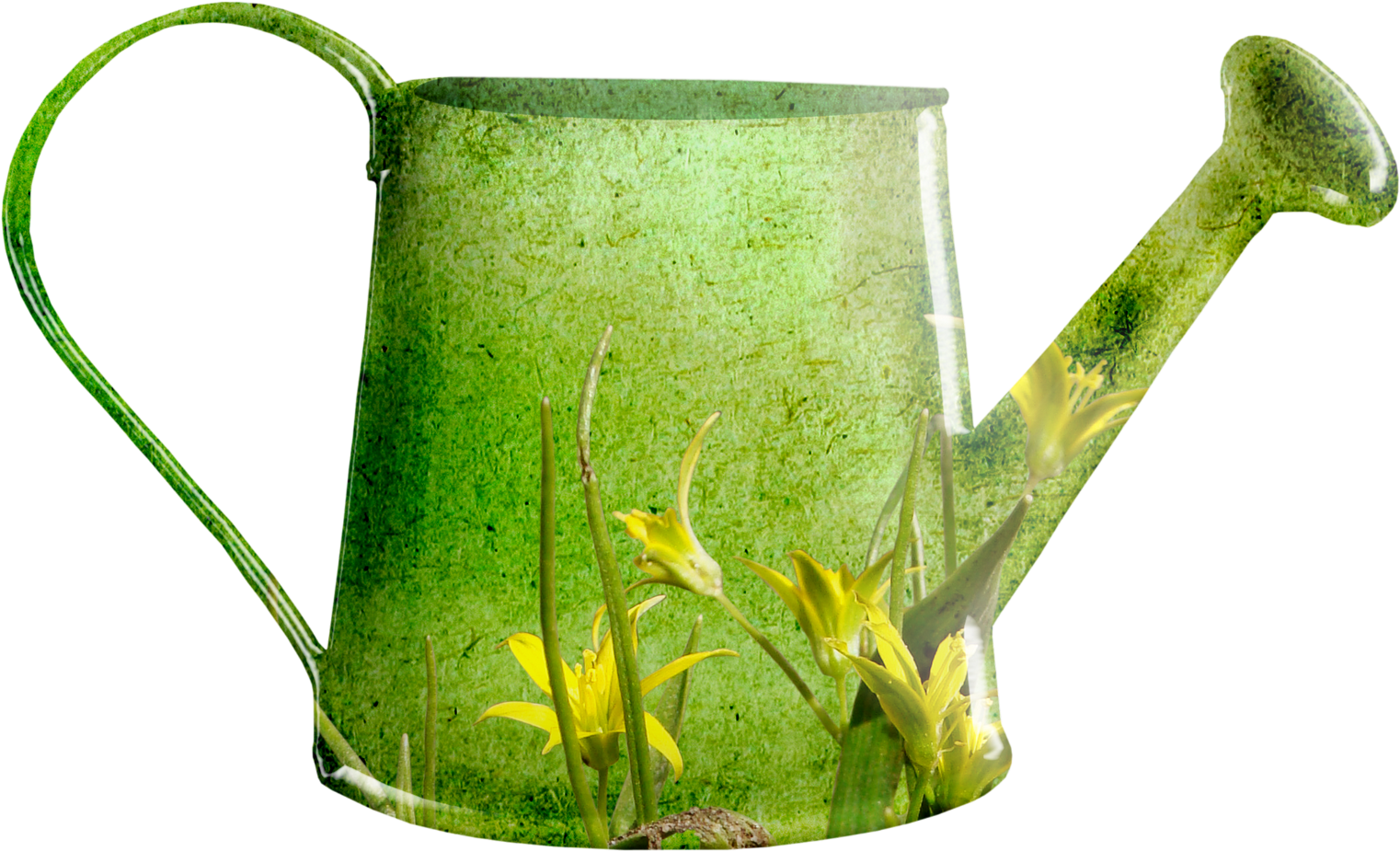 Clip Art Free Library Garden Flower Clip Art Green - Spring Flower Watering Can (1800x1800), Png Download