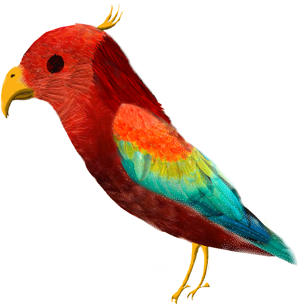 Birds - Macaw (600x608), Png Download