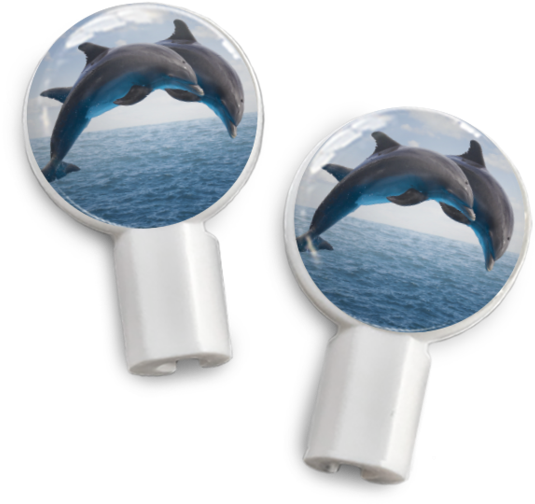 Pair Of Apple Earbud Covers - Dolphins: Voices In The Ocean By Susan Casey (560x560), Png Download