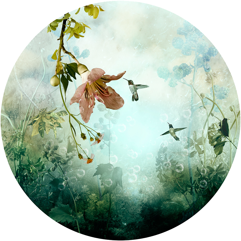 Ysabel Lemay's Azul Will Be Included In Mopa Upcoming - Ysabel Lemay (1000x1000), Png Download