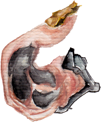 Into Watercolour Painting In Alphabetical Order, And - Illustration (461x614), Png Download