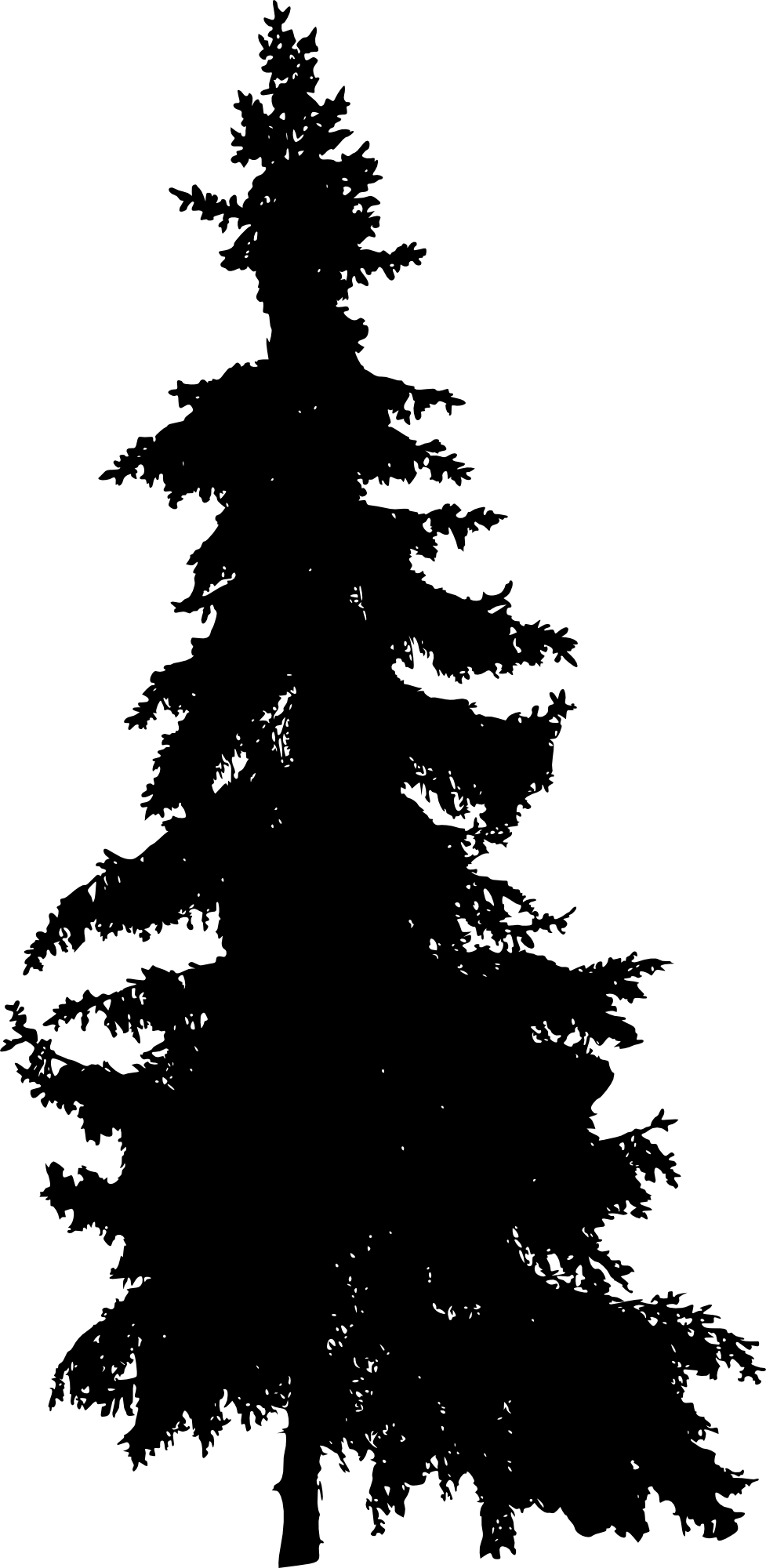 Free Download - Tree Silhouette Pine Tree Png (977x2000), Png Download