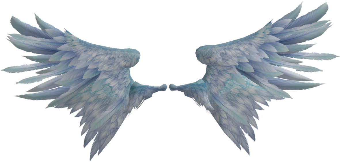 Bird Wings Png - Realistic Angel Wings Png (532x276), Png Download