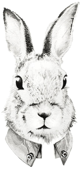 Domestic Rabbit Watercolor Painting Illustration Transprent - Rabbit (900x901), Png Download