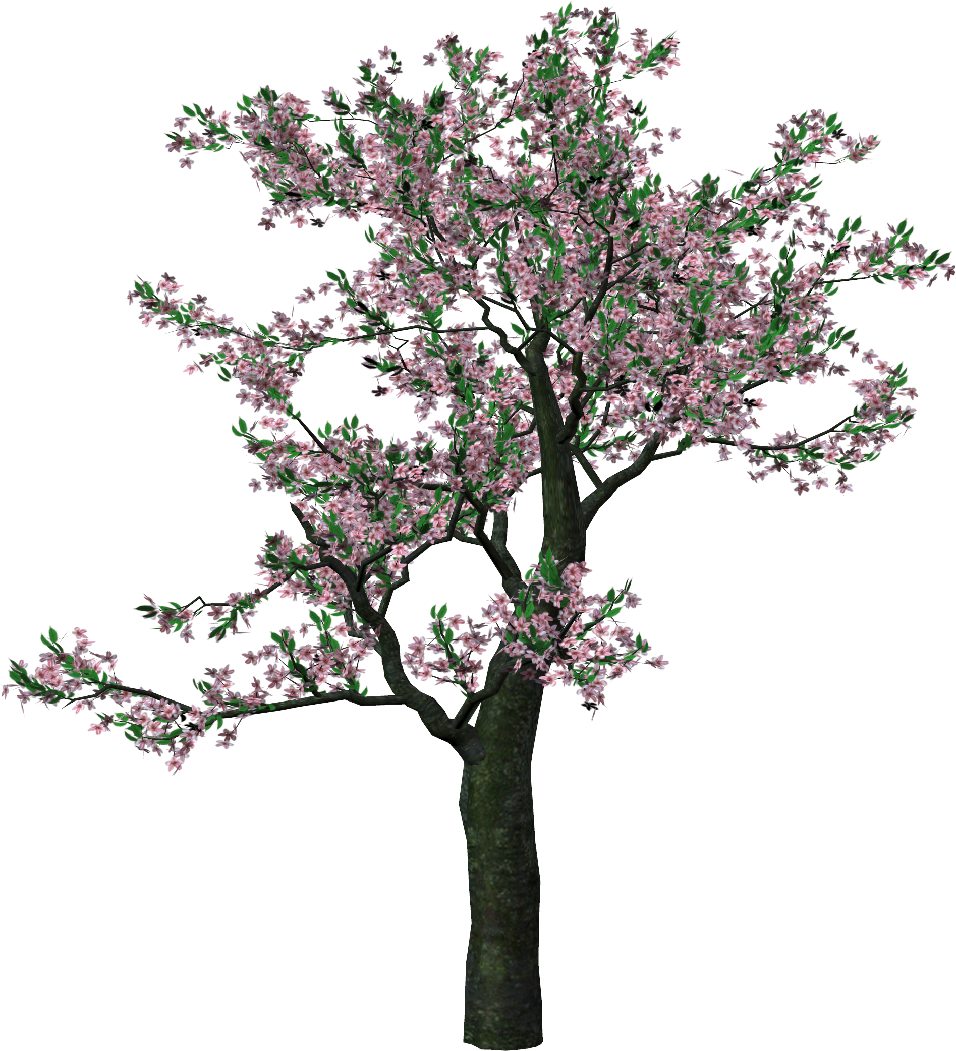 Large Spring Tree Clipart - Spring Trees Png (1895x2084), Png Download