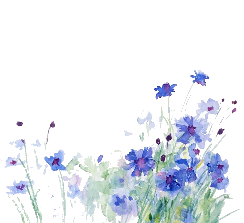Cornflower Drawing Watercolor - You Have A Friend Who Checks (1024x939), Png Download