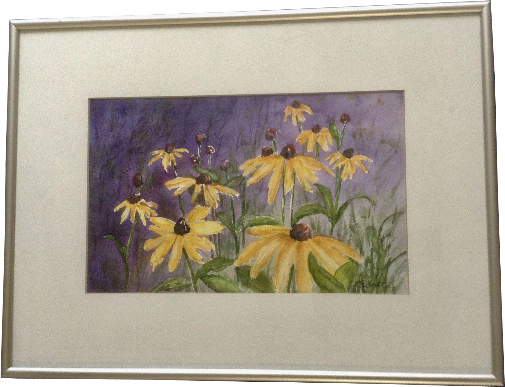 D Wolter, Yellow Daisy Flowers Bursting With Color, - Picture Frame (1618x1618), Png Download