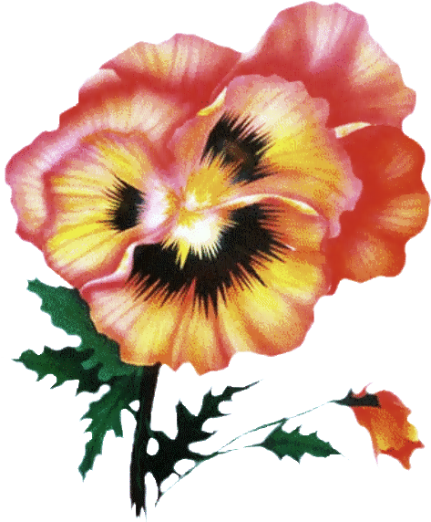 Tubes Victoriens / Fleurs - Flower (608x663), Png Download