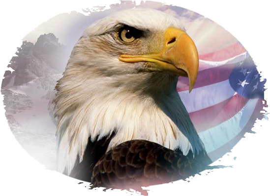 Zjadpop - Beautiful America - Trade Paperback (600x400), Png Download