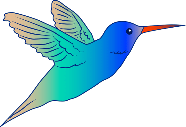 Parrot Photo No Background - Hummingbird Drawing Clip Art (615x419), Png Download