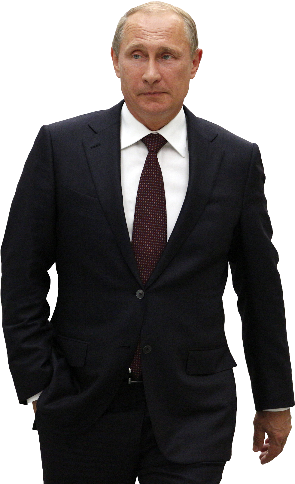 Vladimir Putin Png Transparent Image - Putin Png (500x655), Png Download