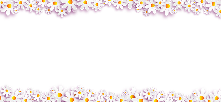 Flowers Symbol March 8 Composition Congrat - Flower Transparent Background (737x340), Png Download