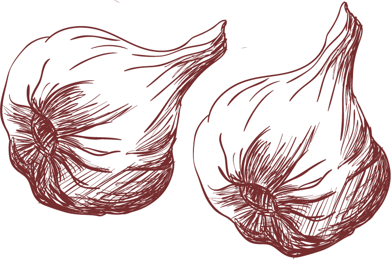 Bouillabaisse Drawing Garlic - Garlic Vector Png (762x504), Png Download
