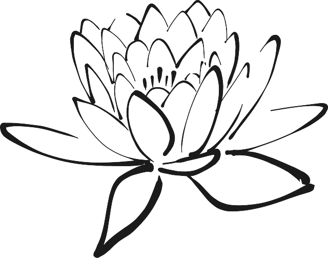 Lotus-flower - Lotus Flower Black And White Clipart (640x503), Png Download