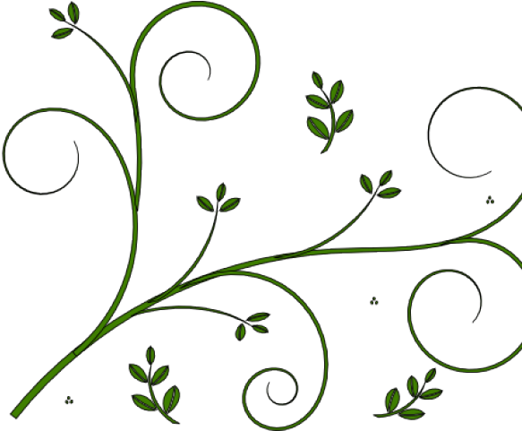 Vine Clipart Design - Vine Line Drawing Flower (640x480), Png Download