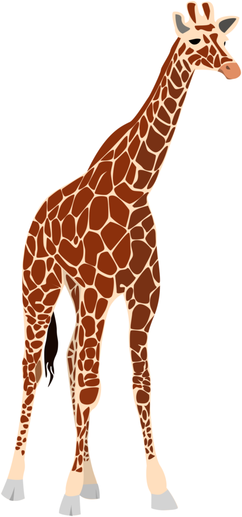Another Giraffe Png Images 281 X (281x600), Png Download