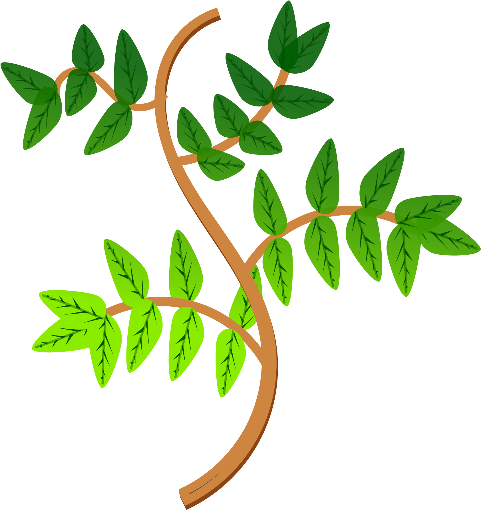 Picture Library Library Leaves And Branches Big Image - Branches Of Plant Clipart (3394x2400), Png Download