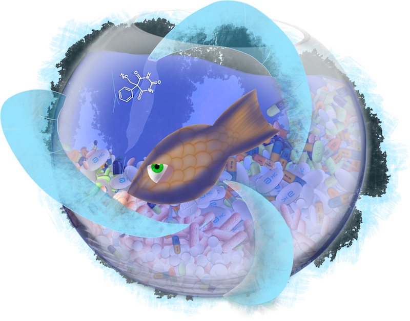 Frosted Fishbowl By Zoe & Dad Vogt-lowell - Father (800x627), Png Download