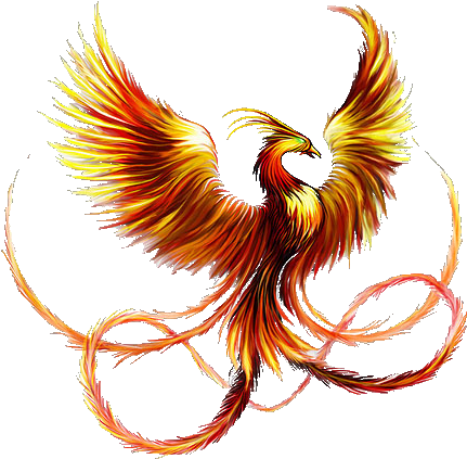Ave Fenix Pinterest Compass Tattoo And Tatting - Pheonix Tattoo (500x455), Png Download