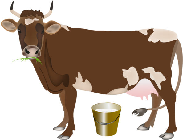 Vector Cow Watercolor - Clipart Cow (600x460), Png Download