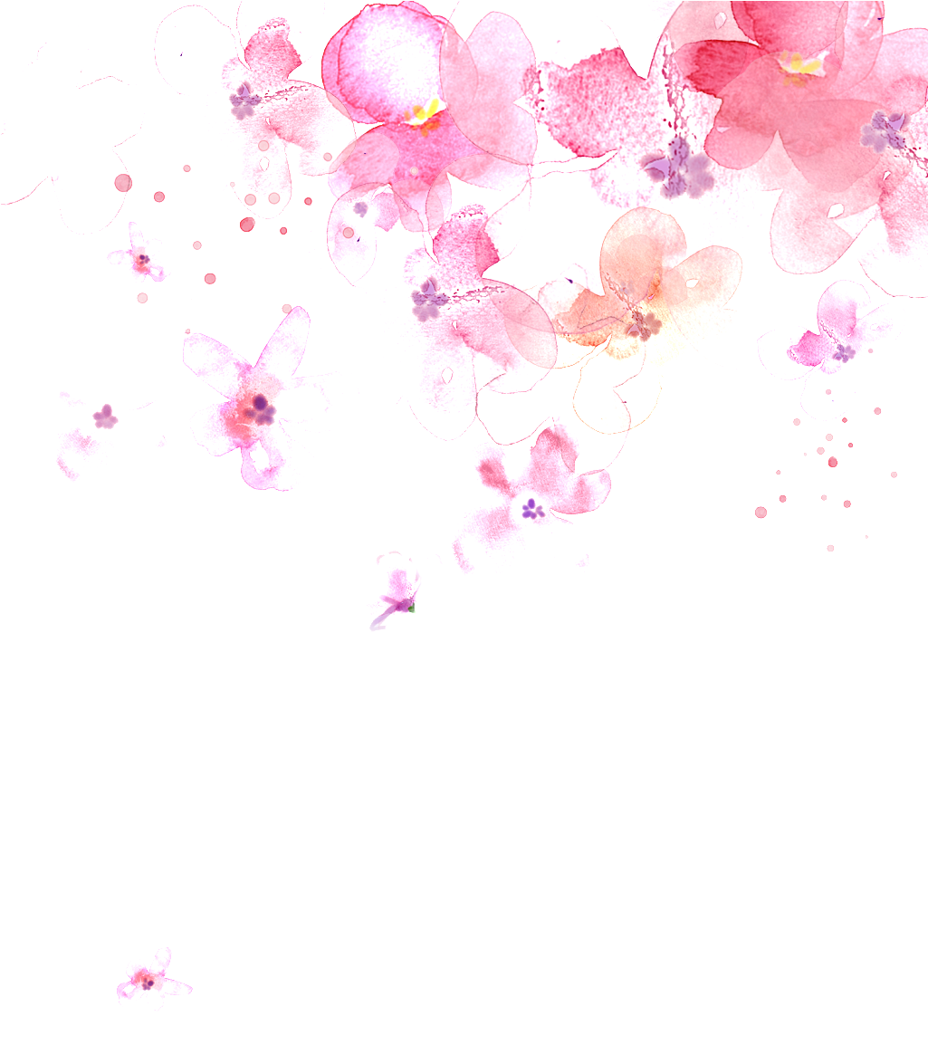 Watercolor Cherry Blossoms - Portable Network Graphics (1024x1365), Png Download