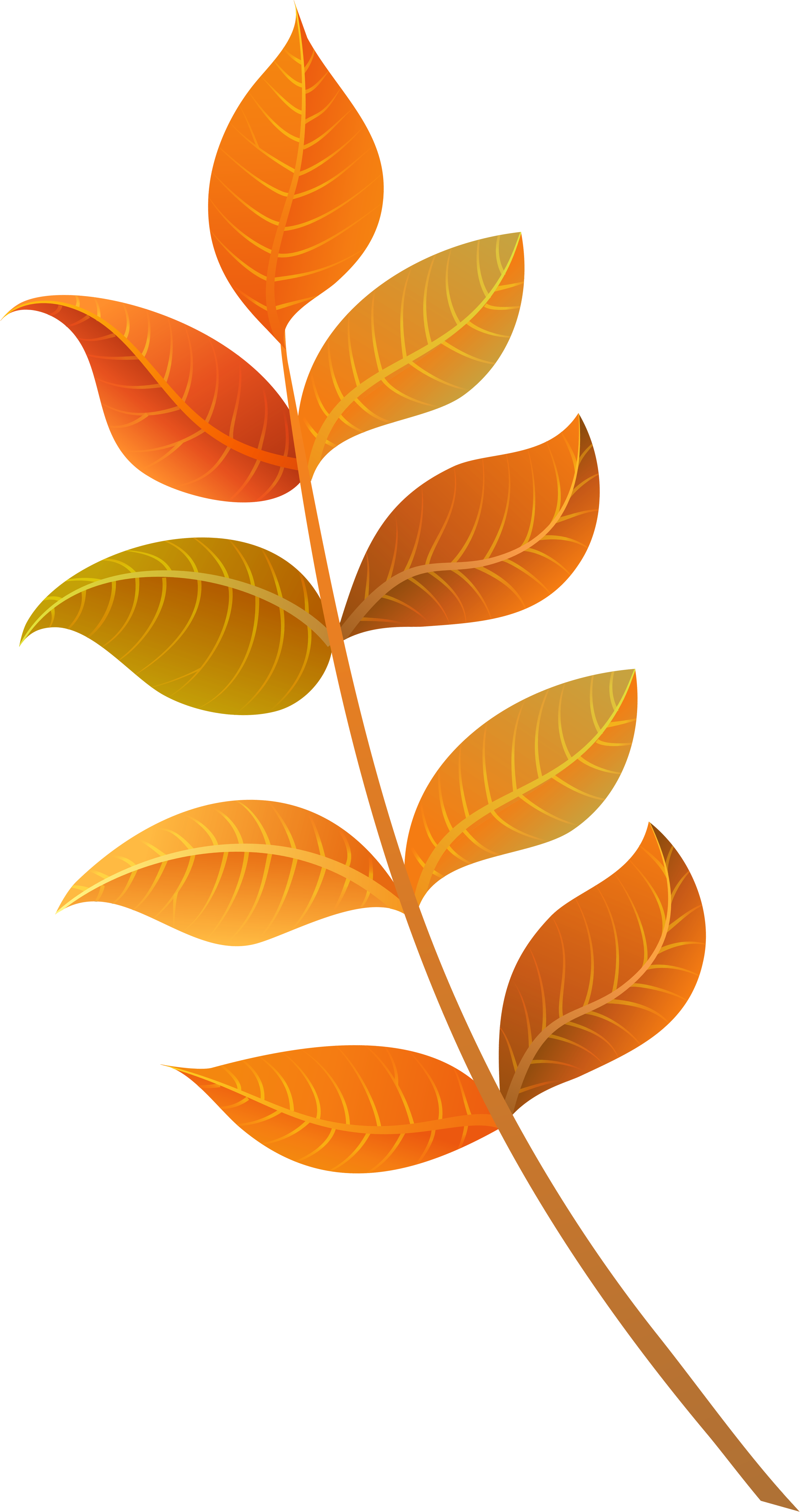 Foliage Clipart Fall Decoration - Fall Leaf Clipart (2790x5230), Png Download