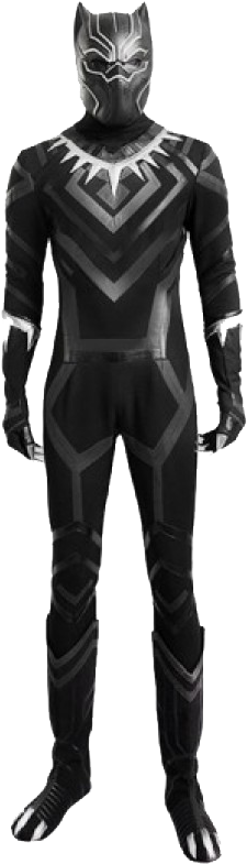 Black Panther Complete Cosplay Costume (800x1200), Png Download