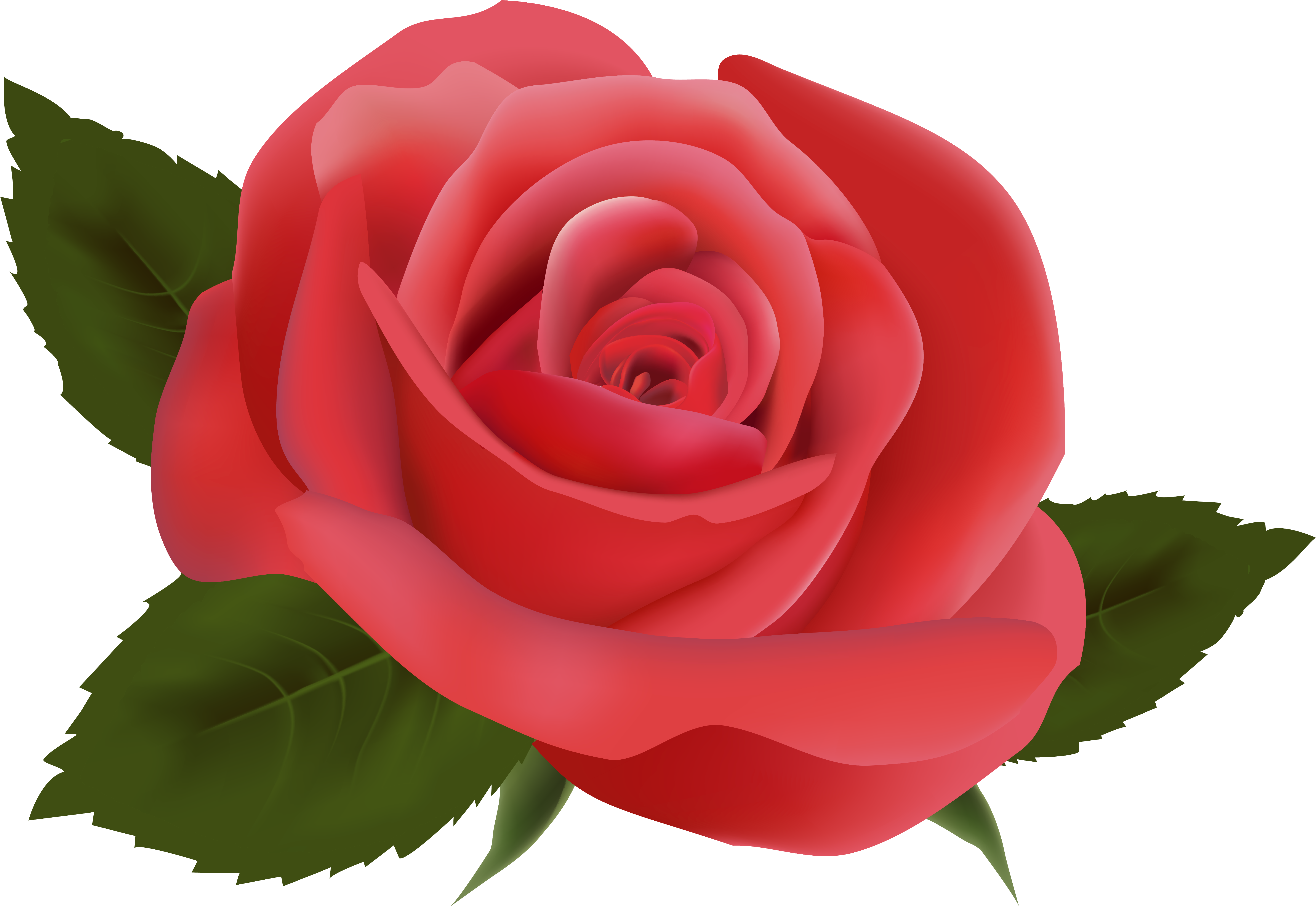 Red Rose Png Image Clipart - Imagens Coloridas De Flor (6442x4429), Png Download
