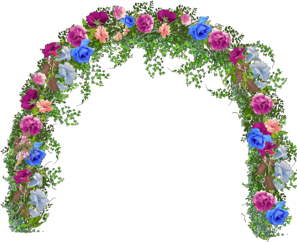 Png Images Transparent Backgrounds Images For Free - Flower Arch Transparent Background (1024x964), Png Download