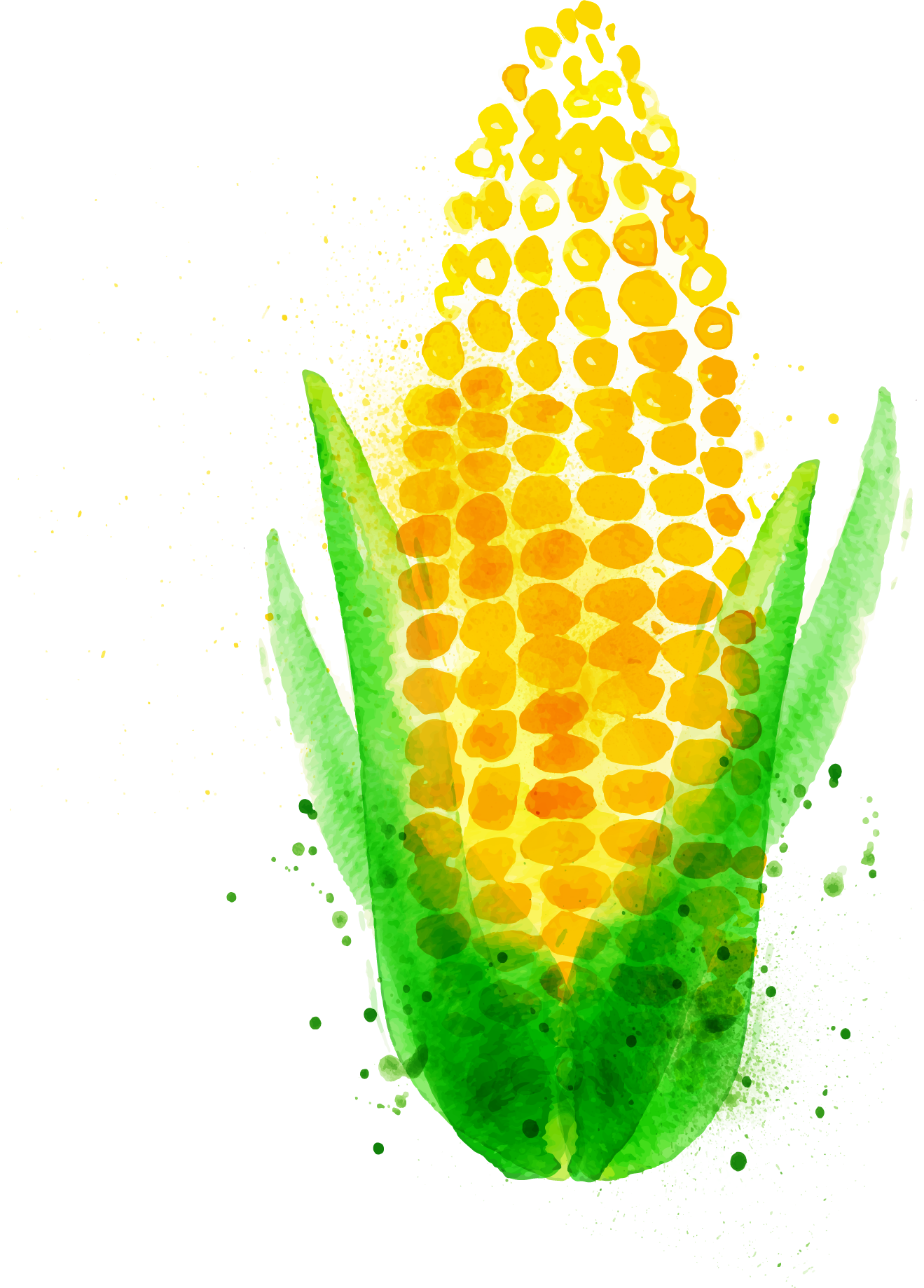 Chili Con Carne Watercolor Painting Maize Vegetable - Corn Watercolor (1319x1838), Png Download