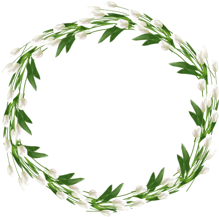 Frames Plant Illustration, Watercolor Illustration, - Corona De Olivo .png (800x768), Png Download