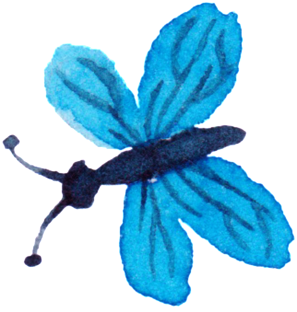 Flying Butterfly Watercolor Hand Painted Decorative - Watercolor Painting (1024x1077), Png Download