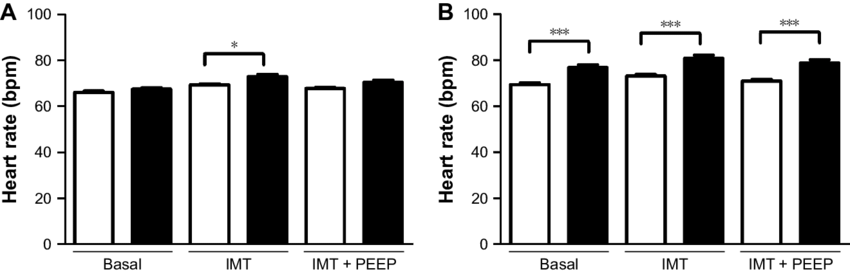 Hr In The Control And Copd Groups (black Bars) During - Musical Keyboard (850x274), Png Download