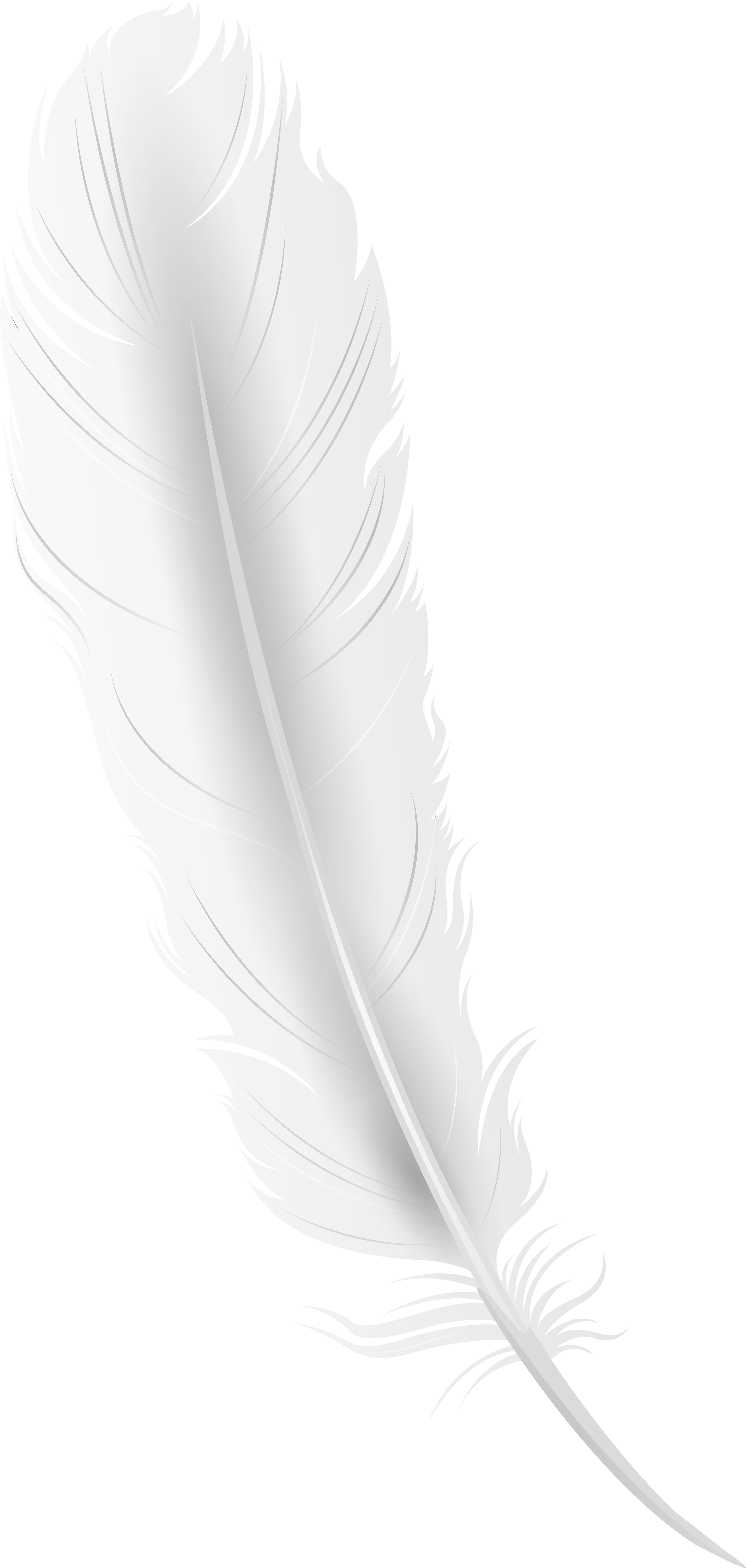 White Feather Clip Art (3936x8000), Png Download
