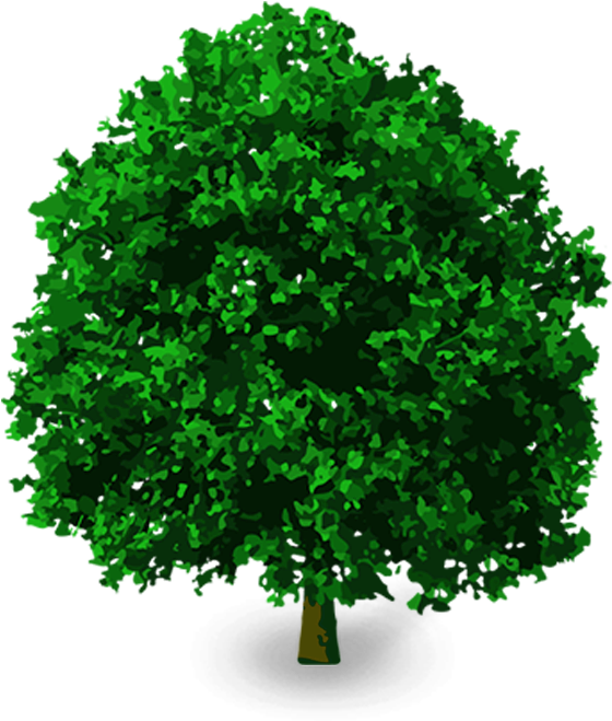 Clip Art, Youtube Thumbnail, Tree Images, 3d Tree, - Portable Network Graphics (900x900), Png Download