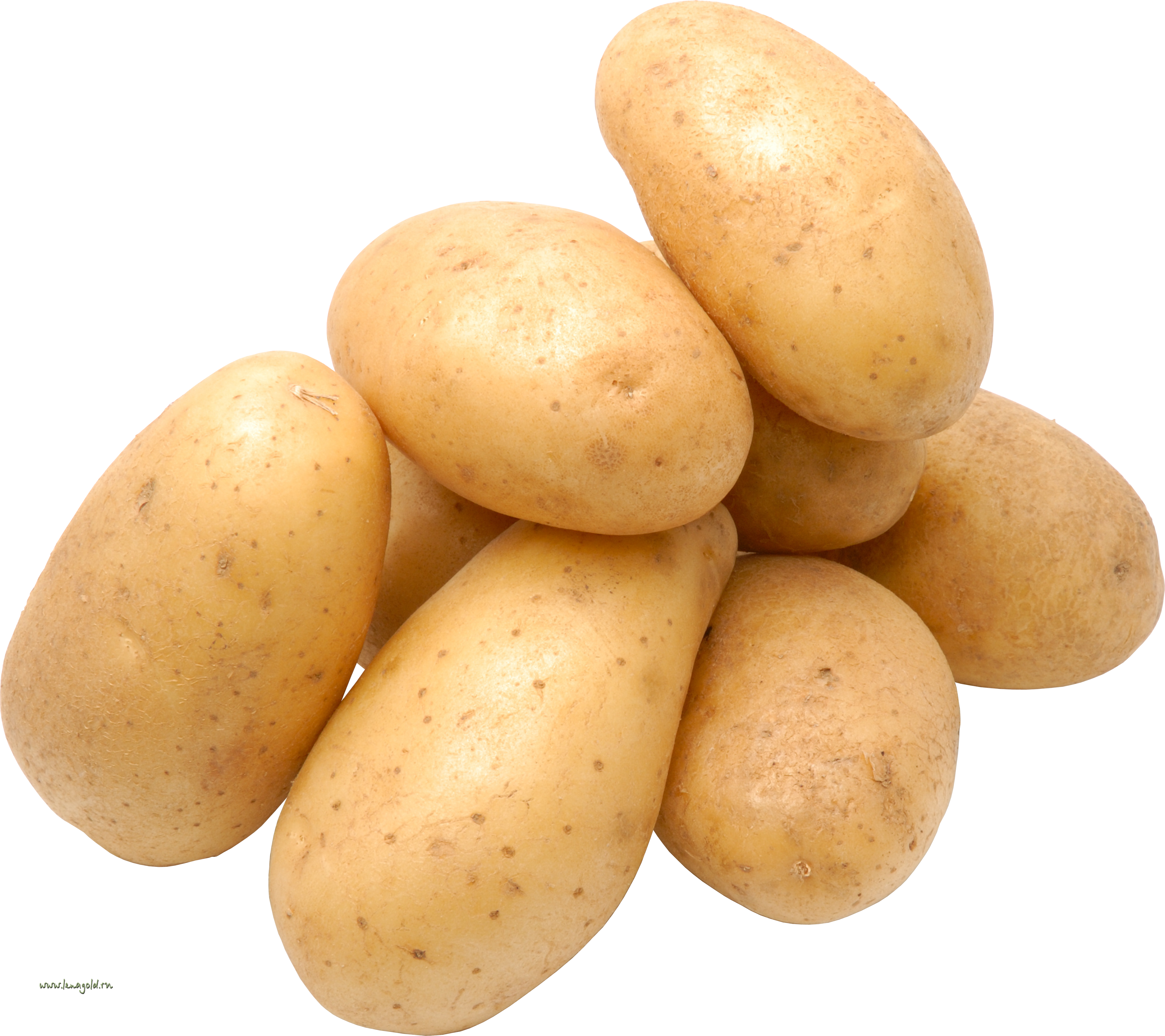 Potato Png Images - Potato Png (3352x2981), Png Download
