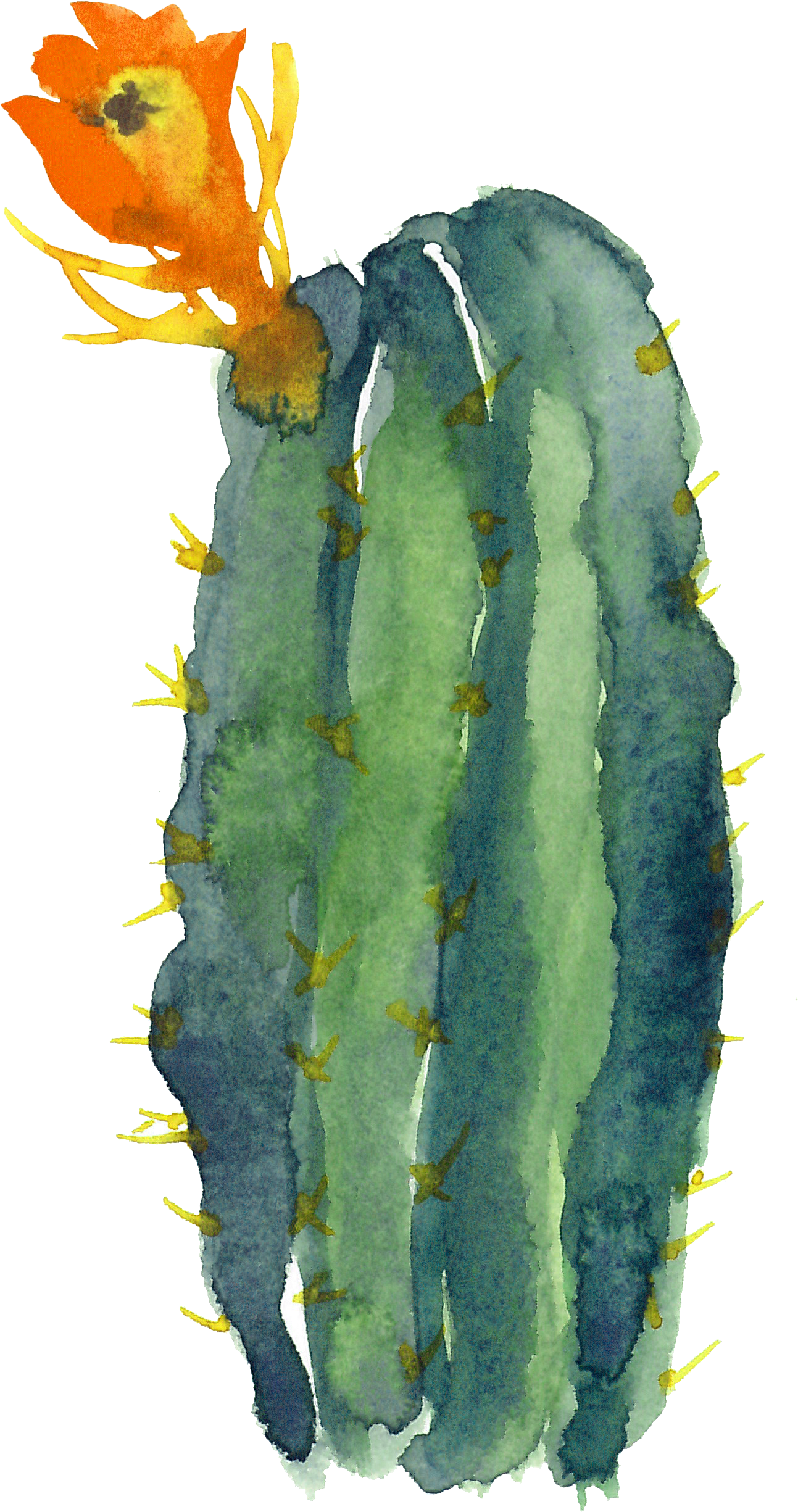 Cactaceae Modern Watercolor - 'free Totebags By Morado Designs - 'free Hugs' Cactus (1293x2450), Png Download