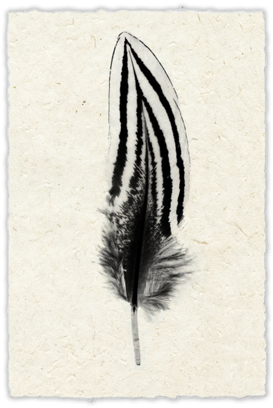 Printing (600x600), Png Download