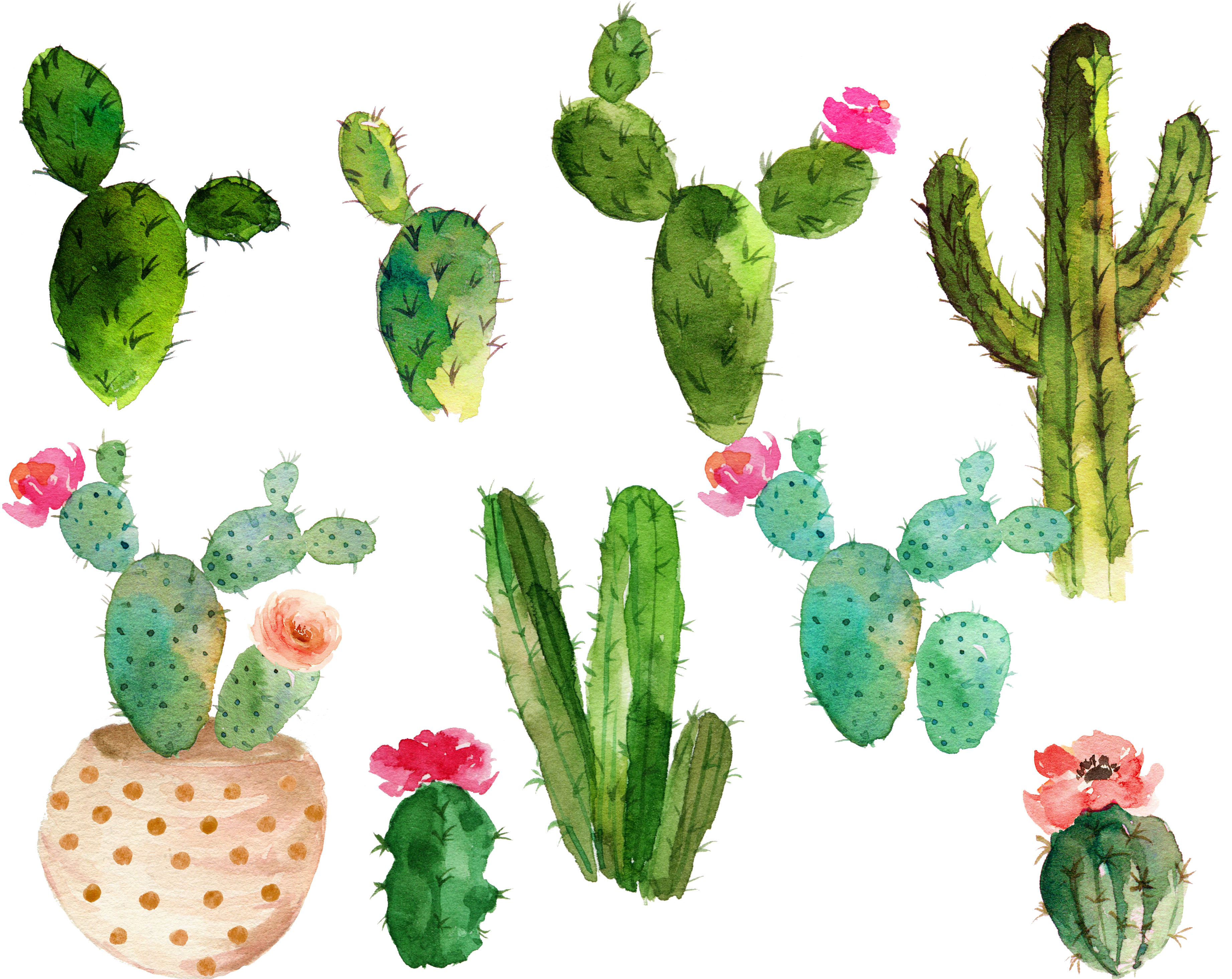 Svg Royalty Free Library Cactaceae Watercolor Painting - Cactus With Flowers Watercolor (4000x3000), Png Download