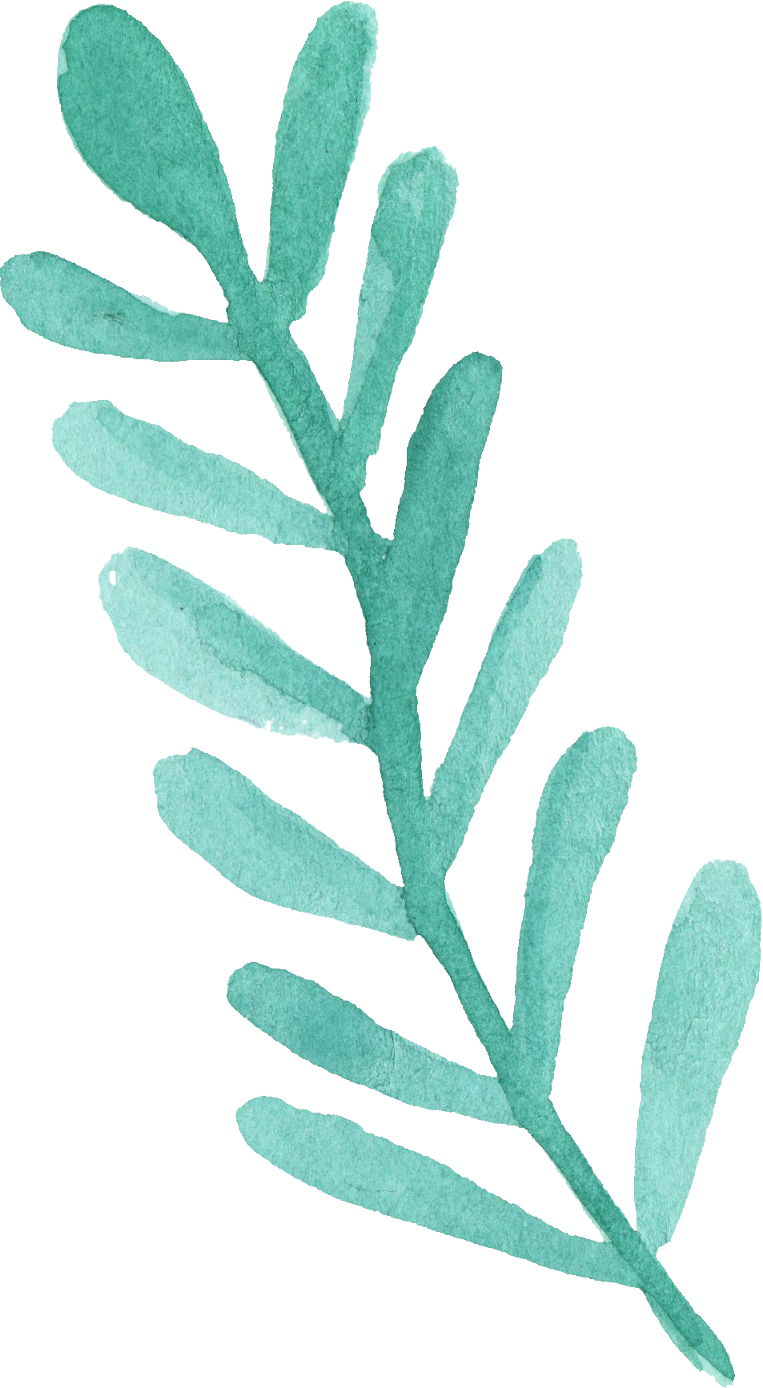 25 Watercolor Leaf Png Transparent Vol 3 Onlygfxcom - Leaf Blue Watercolor Png (763x1388), Png Download