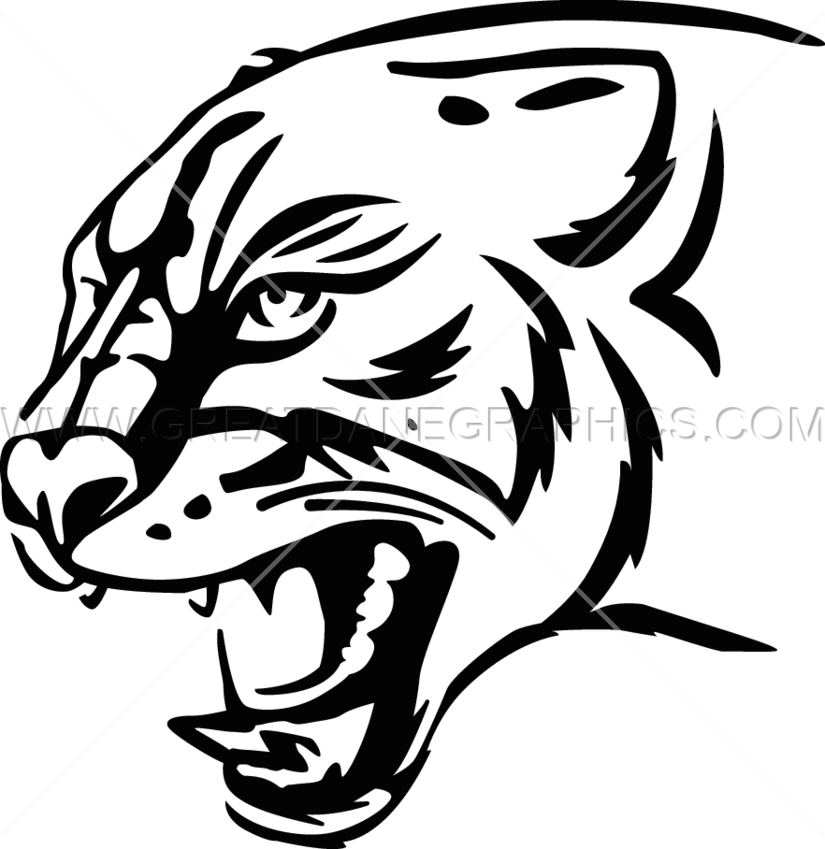 Black Panther - White Panther (825x849), Png Download