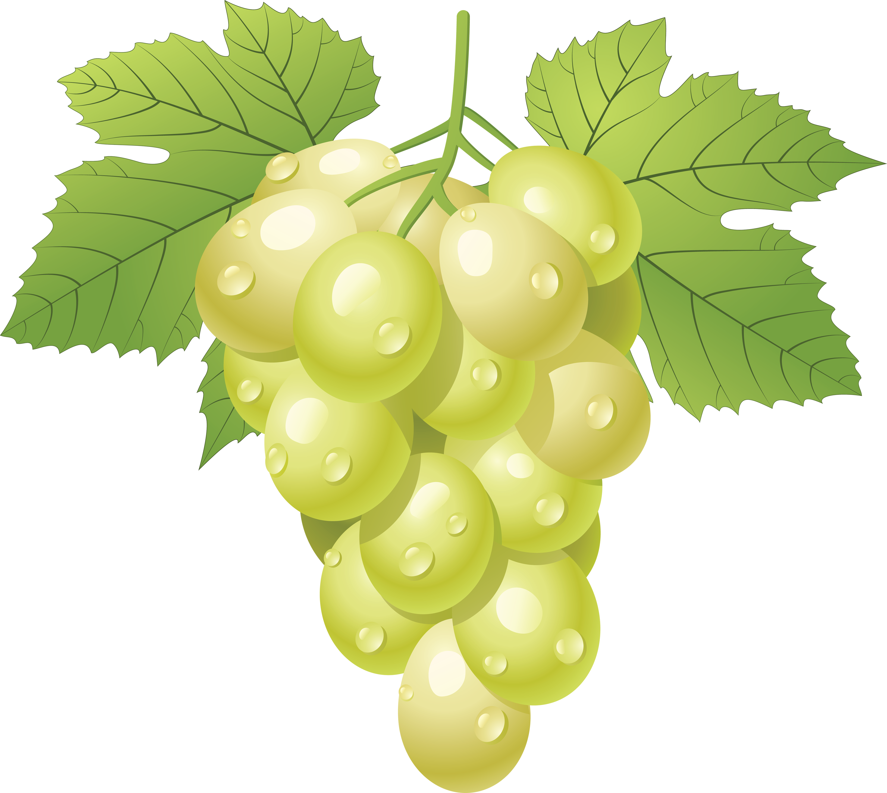 Grape Icon Png - Day On The Green 2010 (3512x3138), Png Download