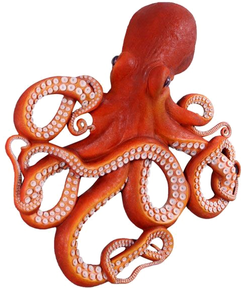 Octopus Png Clipart - Octopus Image In Png (650x575), Png Download