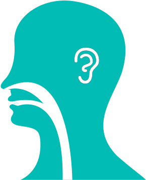 Ear, Nose, Throat Illustration - Ear Nose And Throat Logo (560x375), Png Download