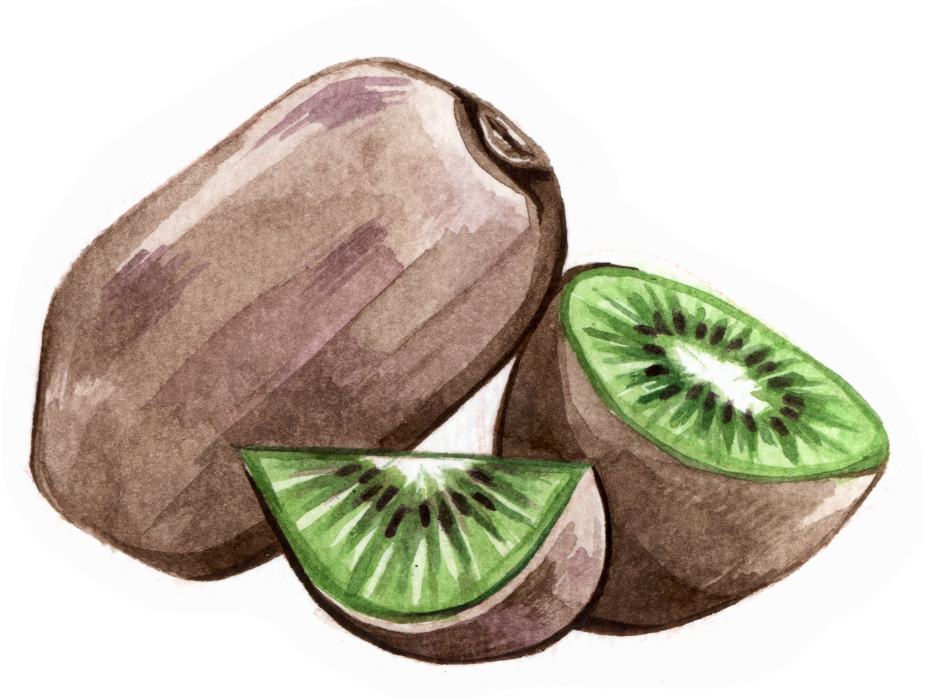 Fruit & Veg - Kiwifruit (1350x1020), Png Download
