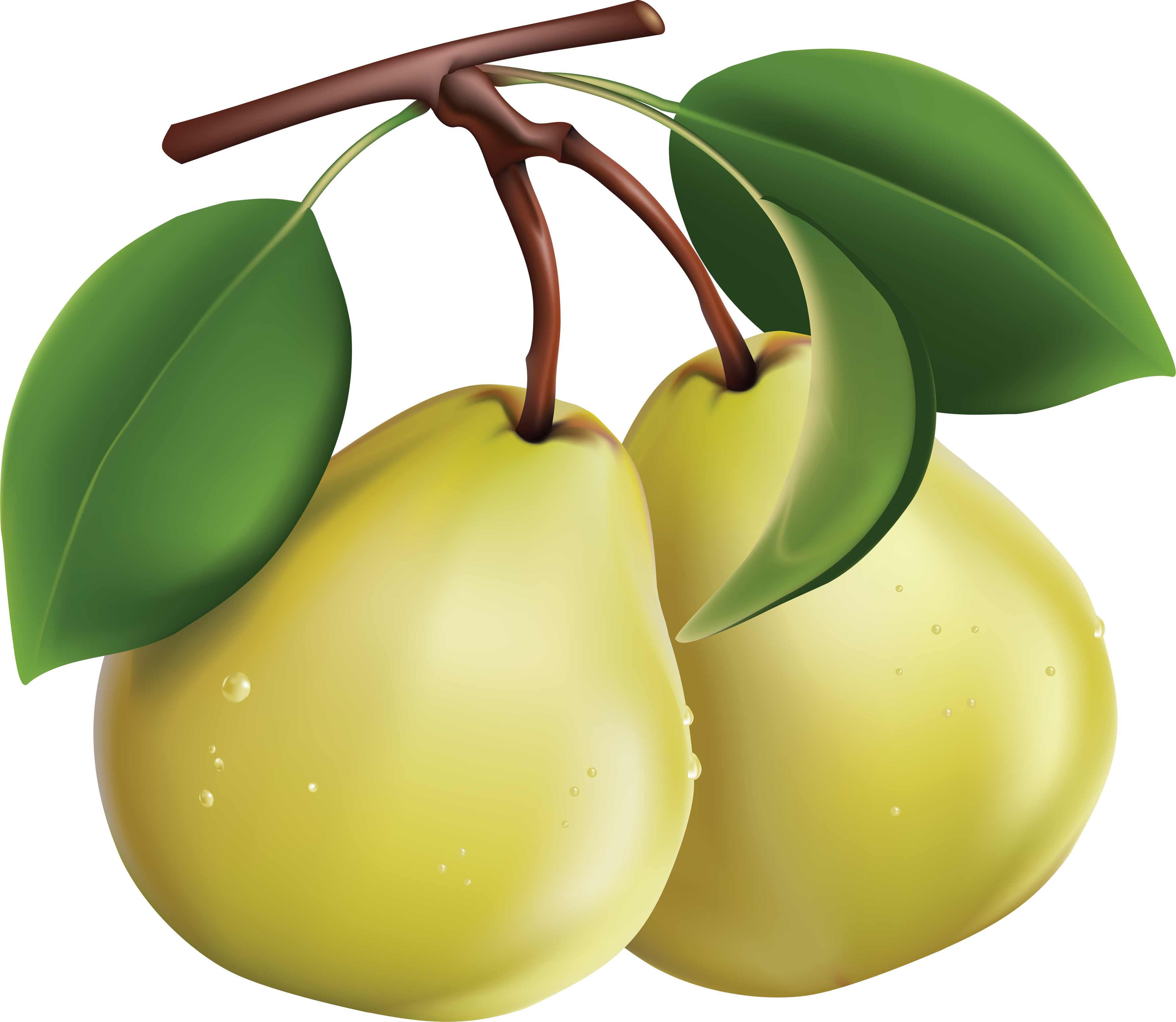 Pear Png Image - Clipart Images Of Pears (3572x3104), Png Download