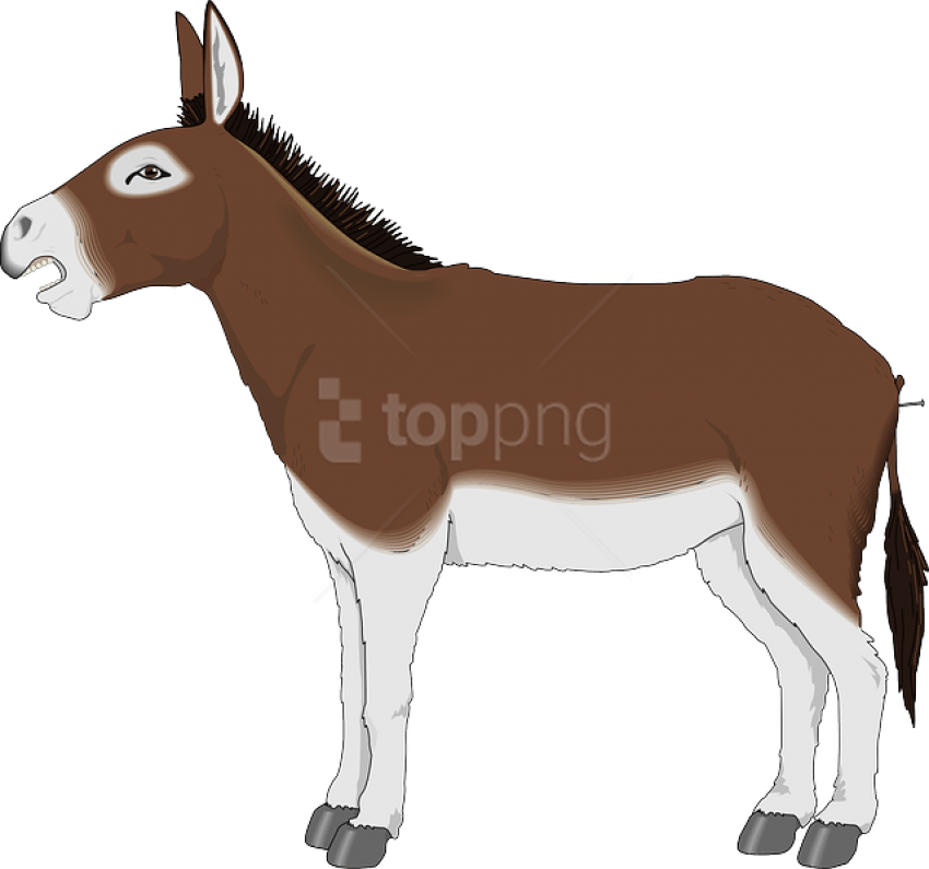 Drawing Donkey Mule Picture Royalty Free - Donkey Clipart (600x561), Png Download