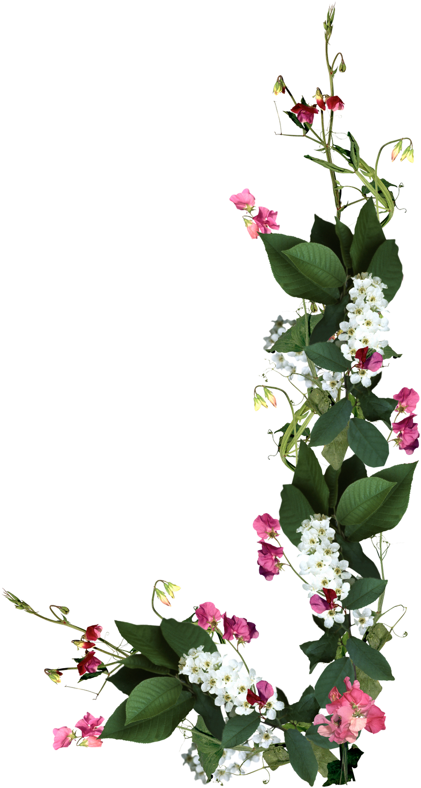 Ramos E Flores Png (1333x1600), Png Download