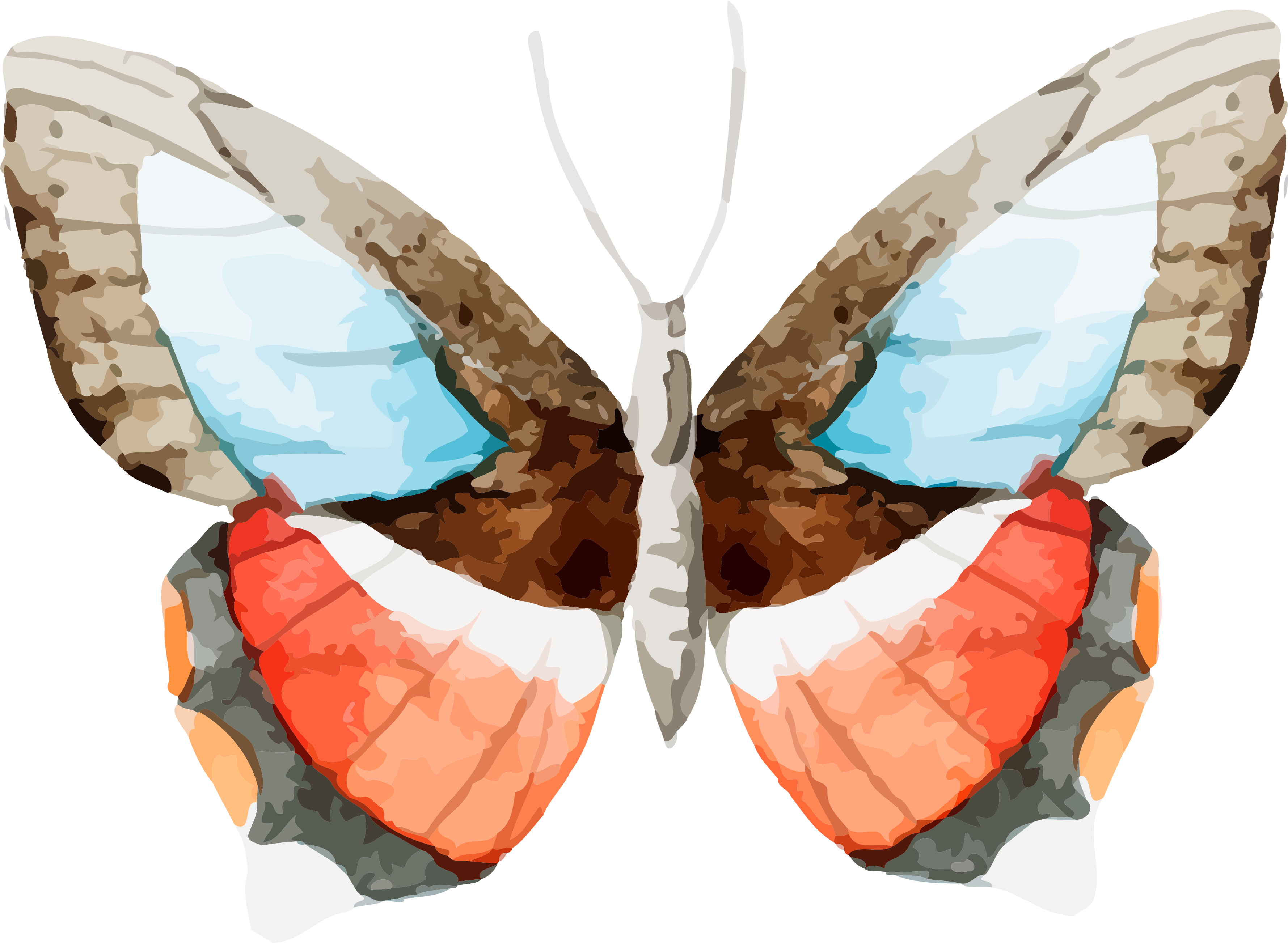 Set Of Free Butterfly Cu Ok Pretty - Click Wall Art 'welcome Spring - Almond Butterfly' (3600x2814), Png Download